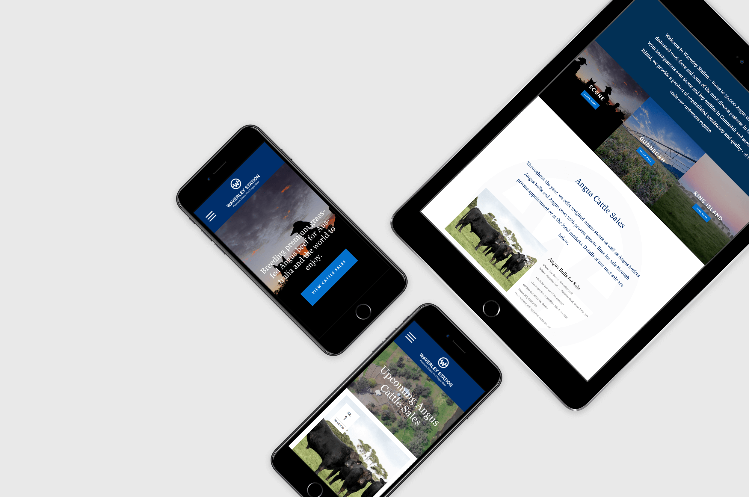 melbourne-squarespace-web-design-waverley-station.png
