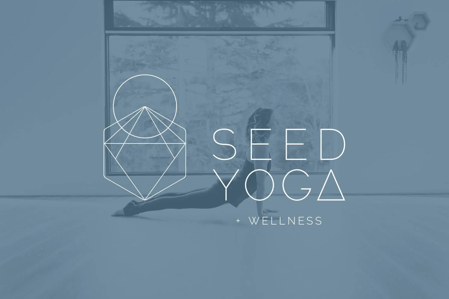 Seed Yoga + Wellness