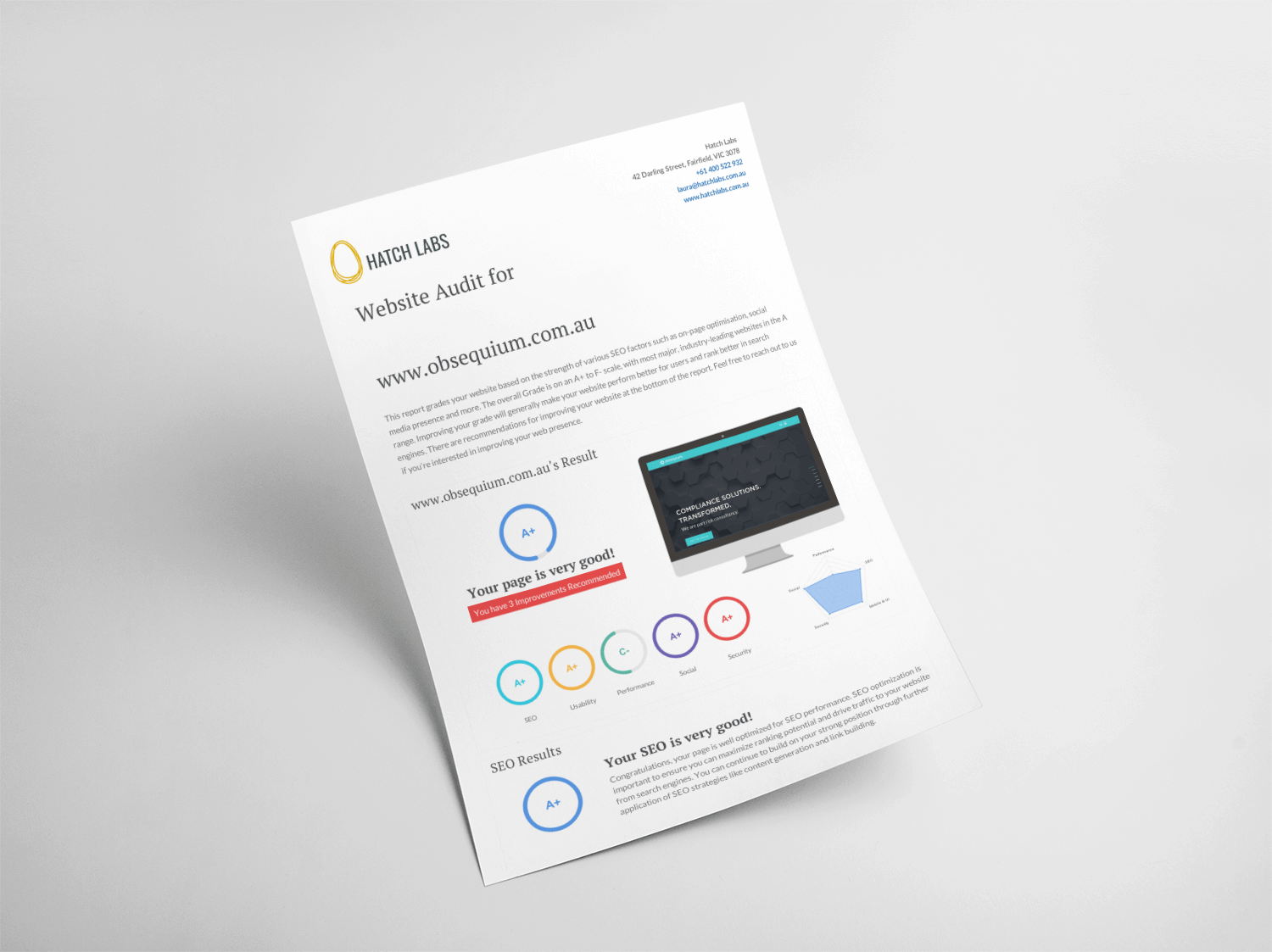 An example of what your free website audit will look like.