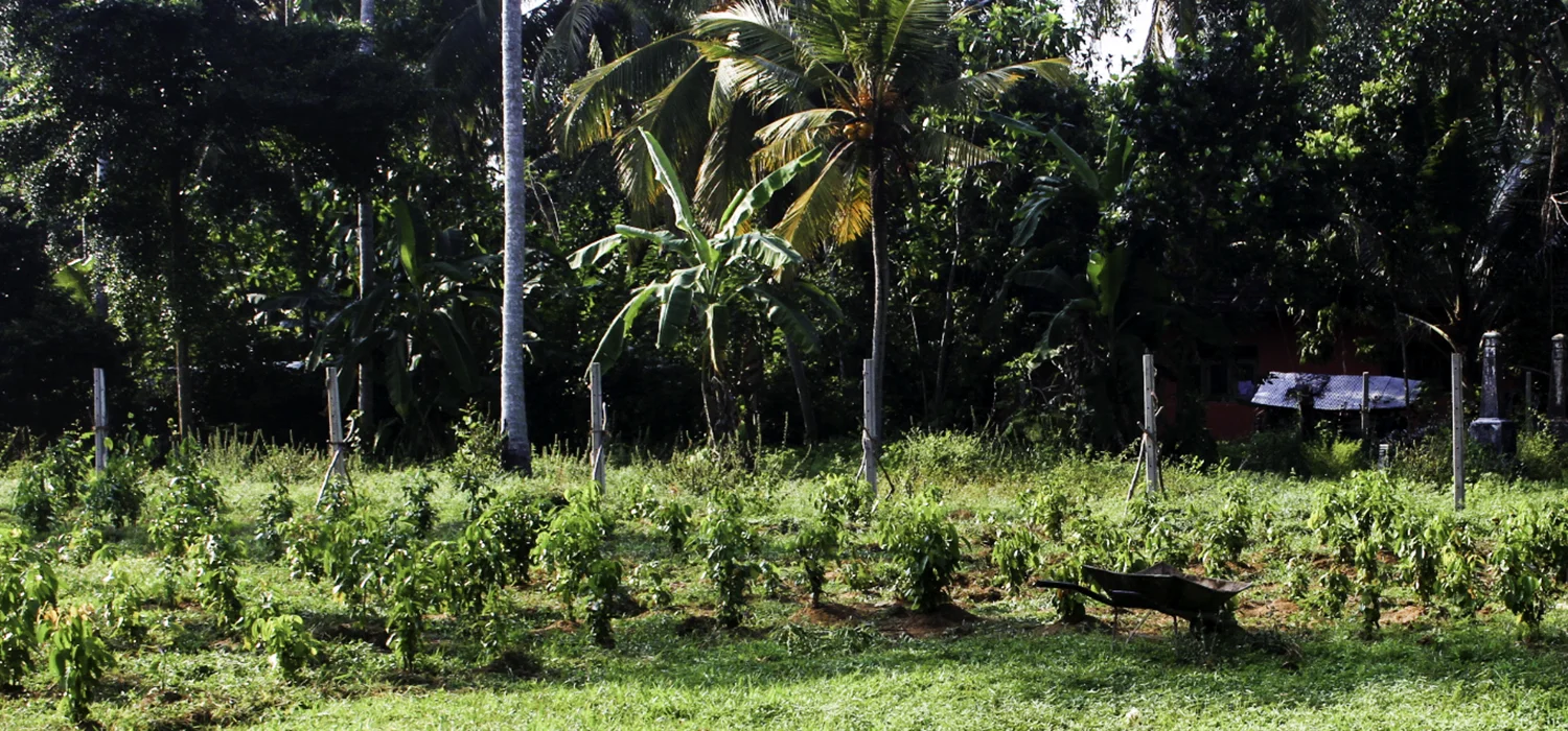 wheelbarrow banner.jpg