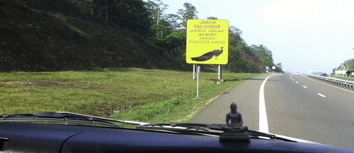 road sign banner.jpg