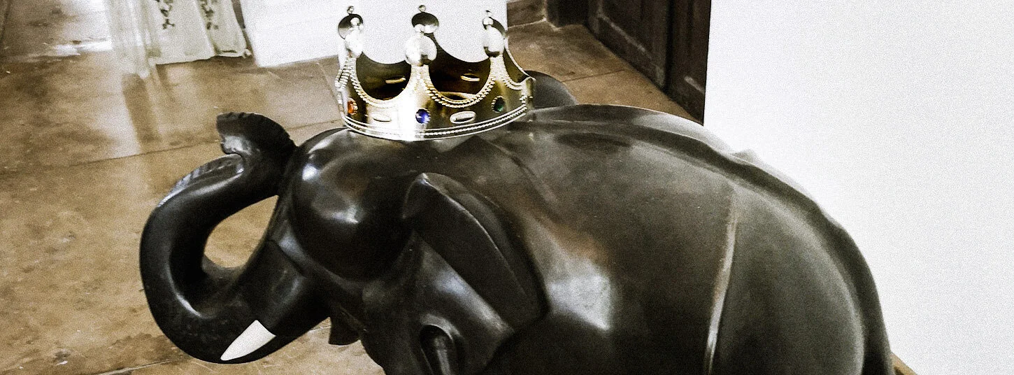 bandara watte elephant for banner (Copy)