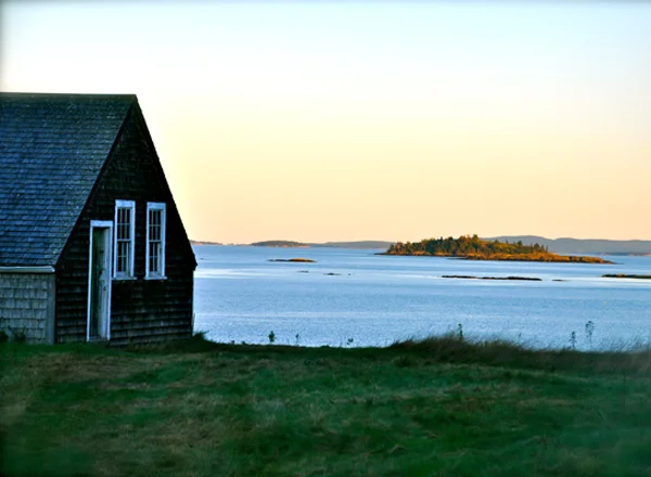 DSC_0102_crop.jpg