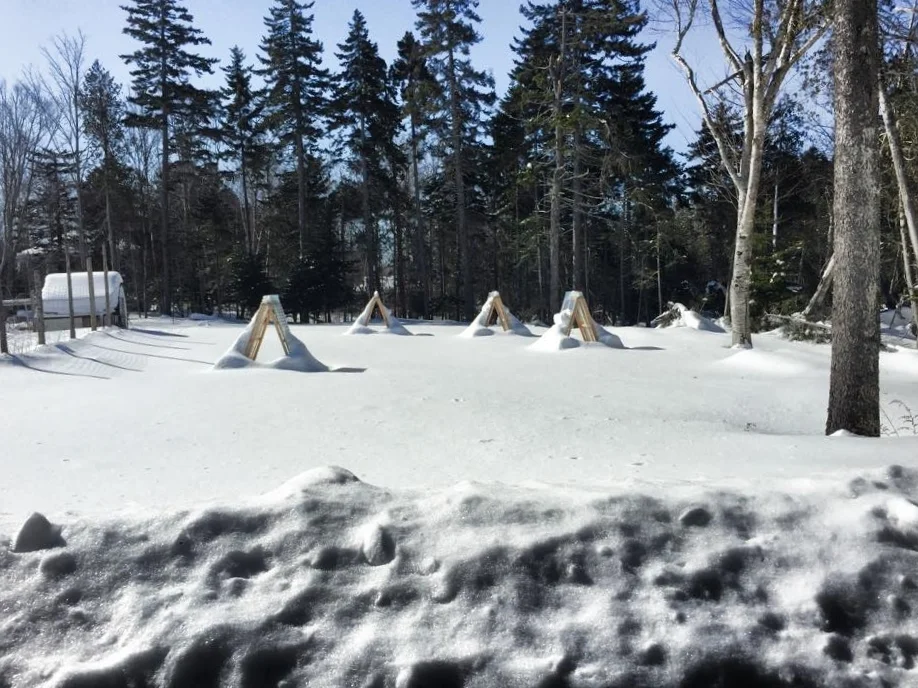A-frames in snow.jpg