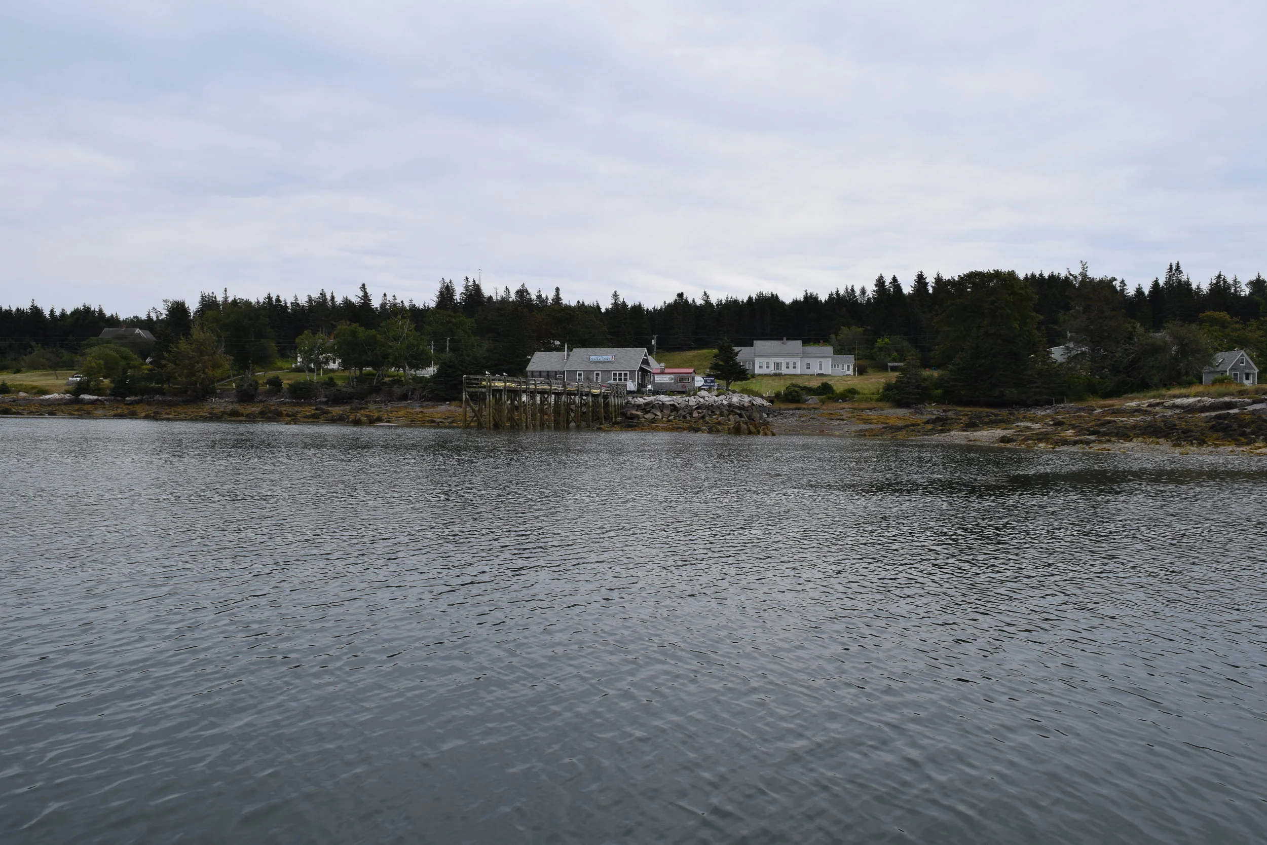 DSC_0782.JPG