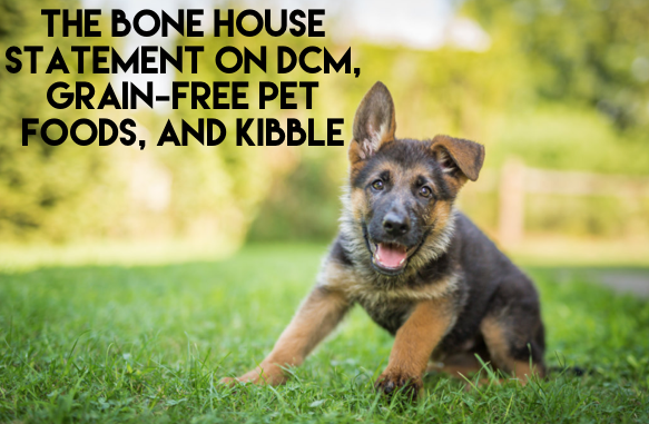 dcm in german shepherds