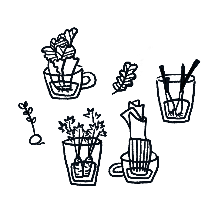 Outline illustration of vegetable cuttings in water