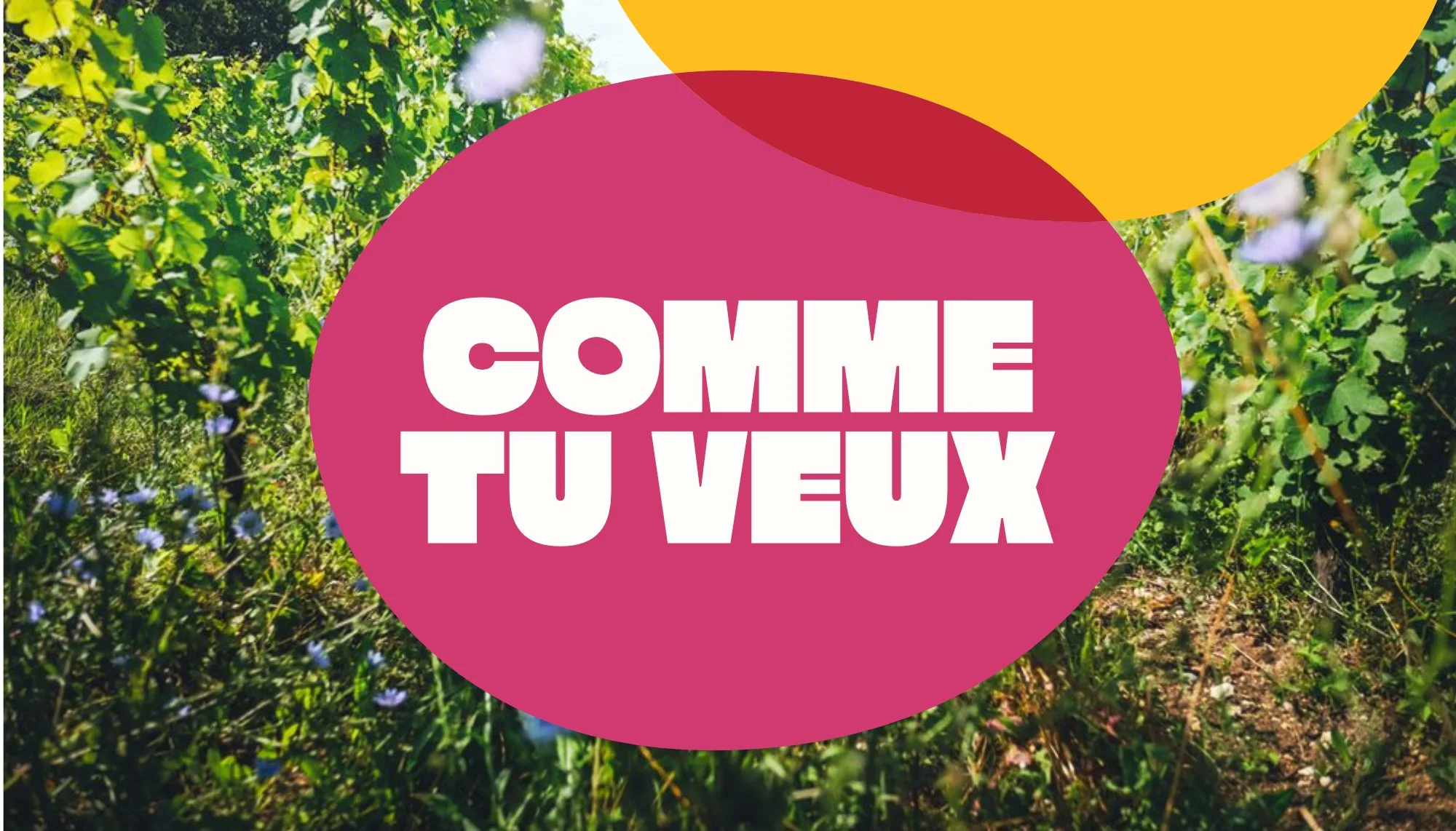 Comme Tu Veux logo on top of a photo of a winery