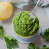 Celery Leaf Pesto