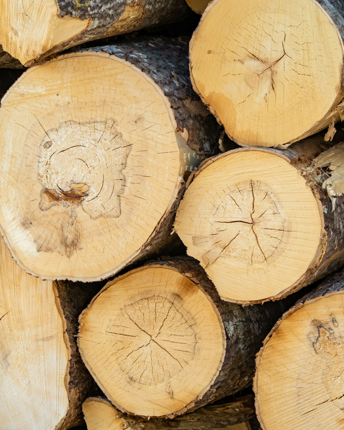 FAQ: Can I Use My Own Wood?