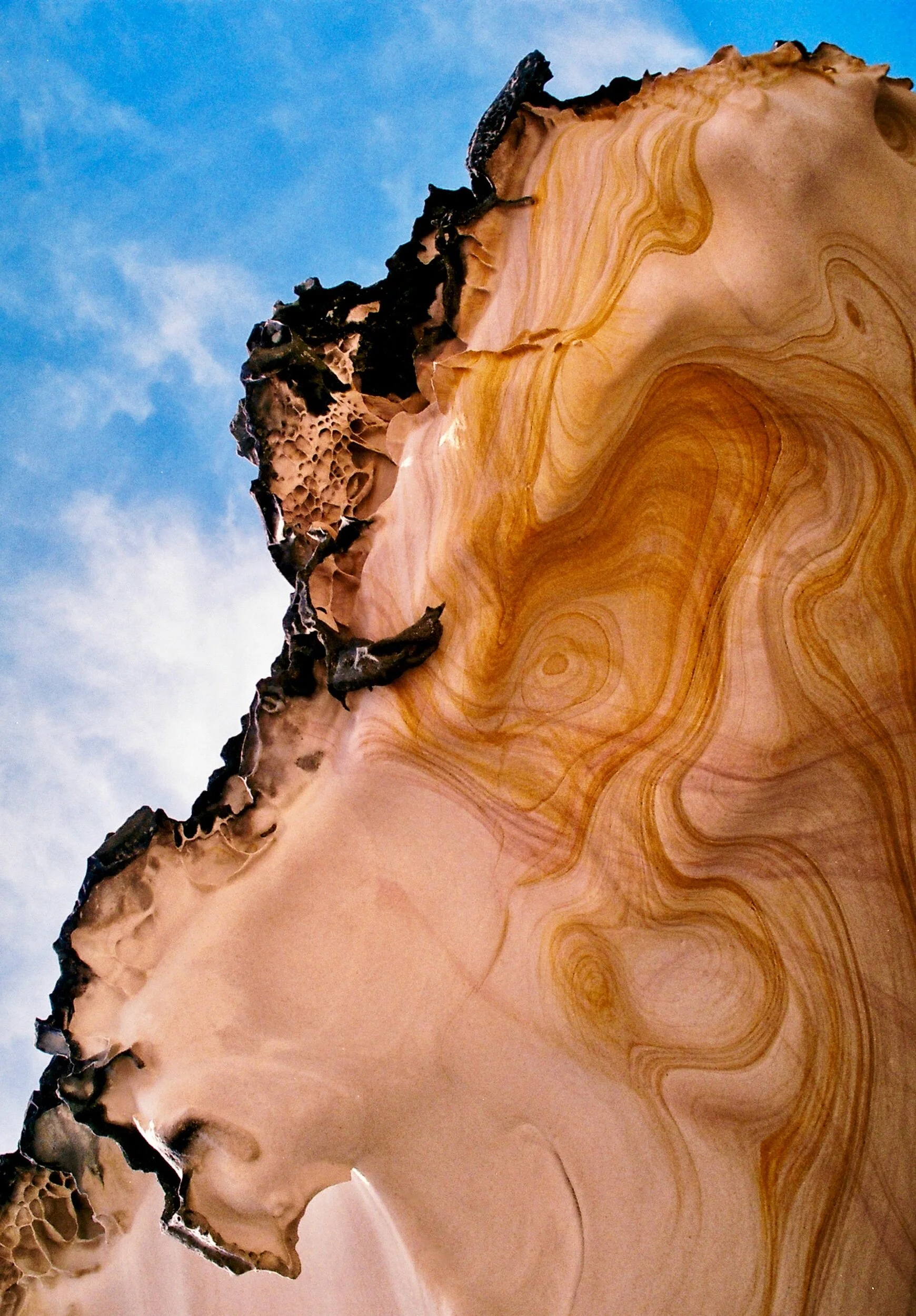 F3CCE649-F835-4609-B3FE-87959A1F09A9