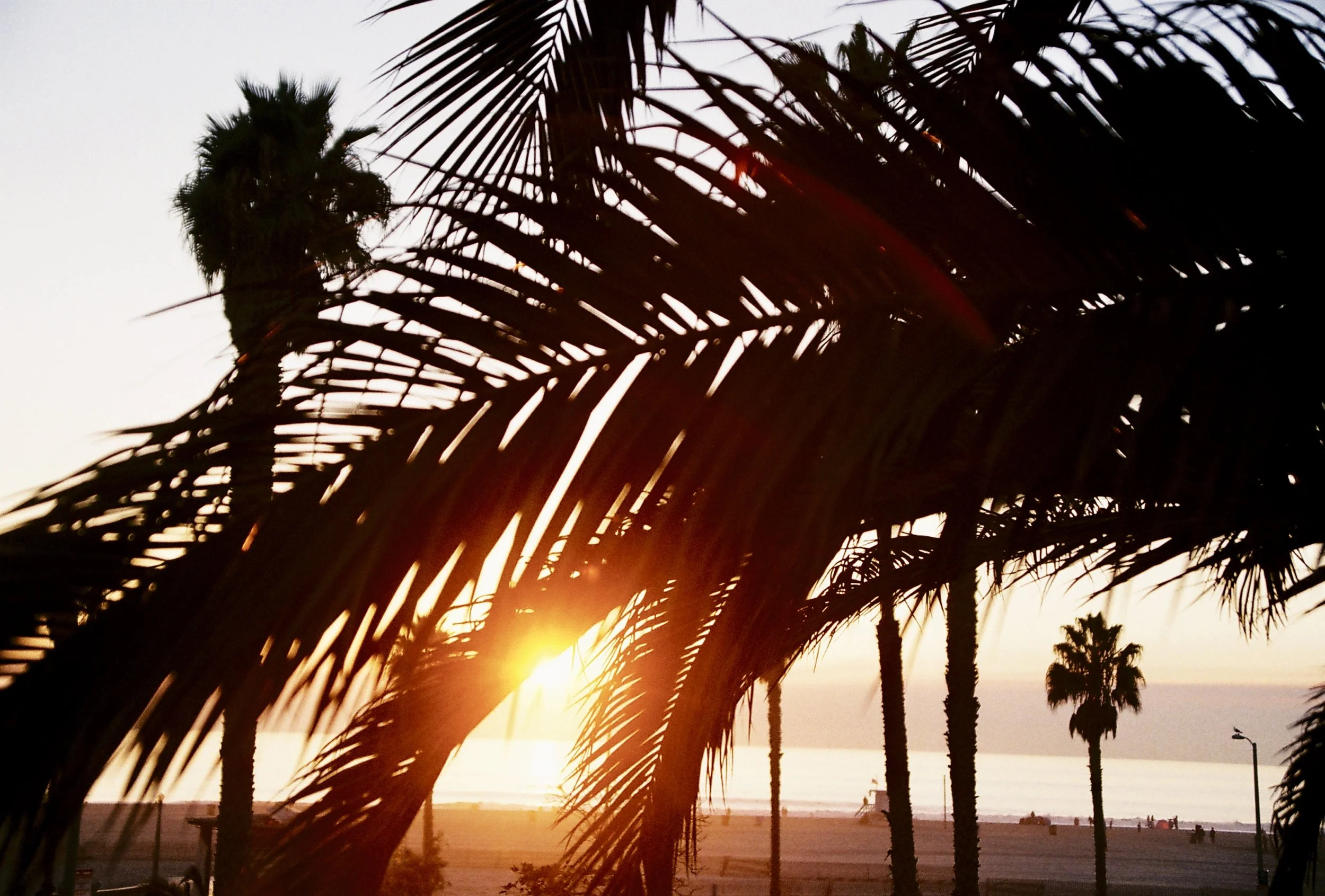 D000417-R1-11-12 copy.jpeg