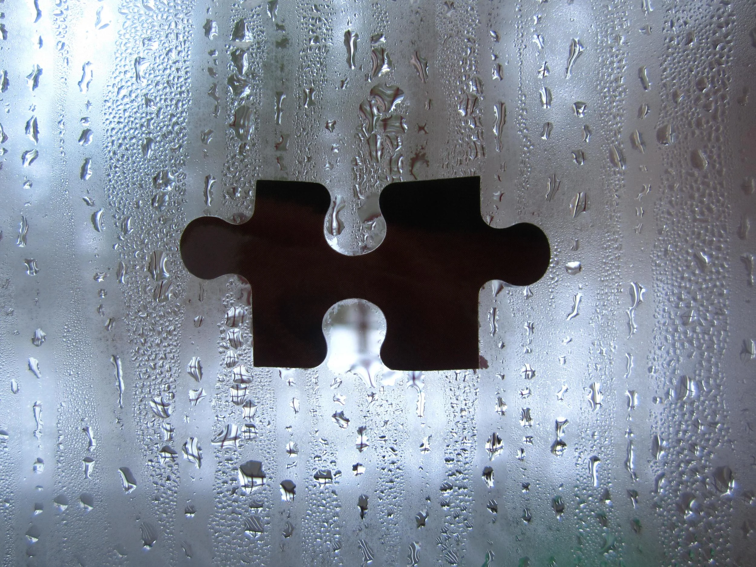 Piece of puzzle in the glass.JPG