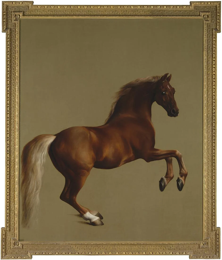 George Stubbs, Whistlejacket, 1762. Bought with the support of the Heritage Lottery Fund, 1997 © THE NATIONAL GALLERY, LONDON