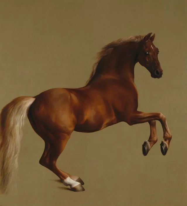 MK Gallery - George Stubbs: 'all done from nature'