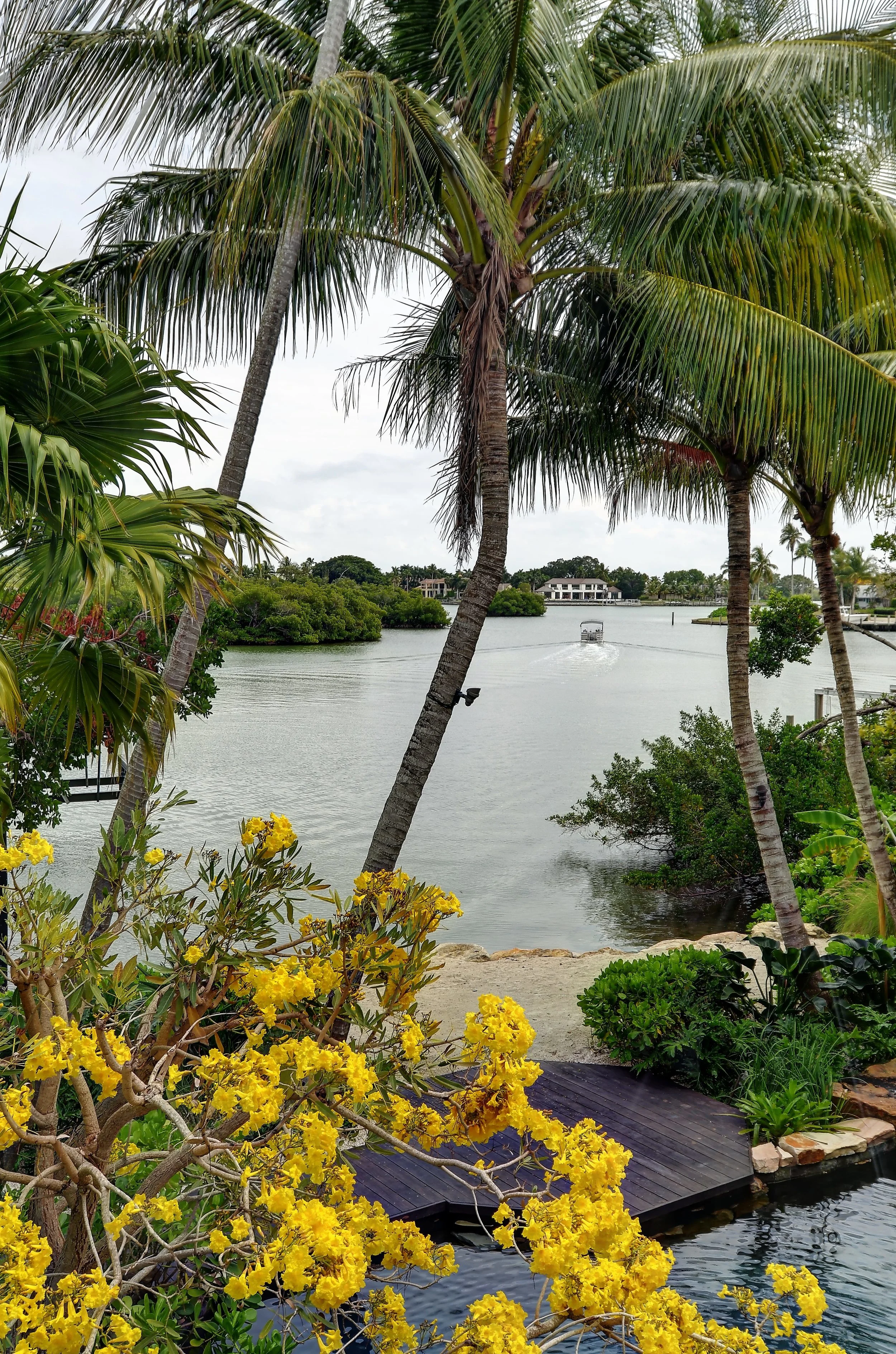 JLD-23-Lewis Waterview.jpg