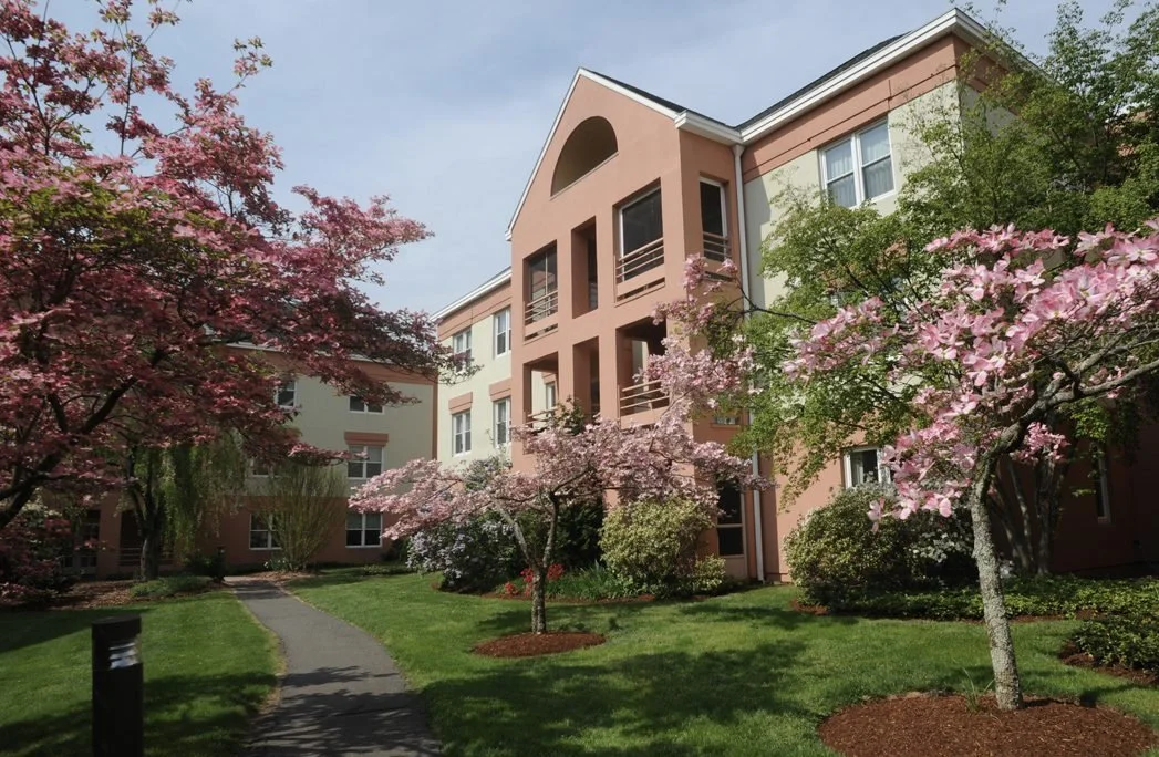 Concert @ Arazzo Music Festival