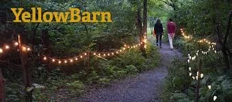 Young Artists Program@Yellow Barn