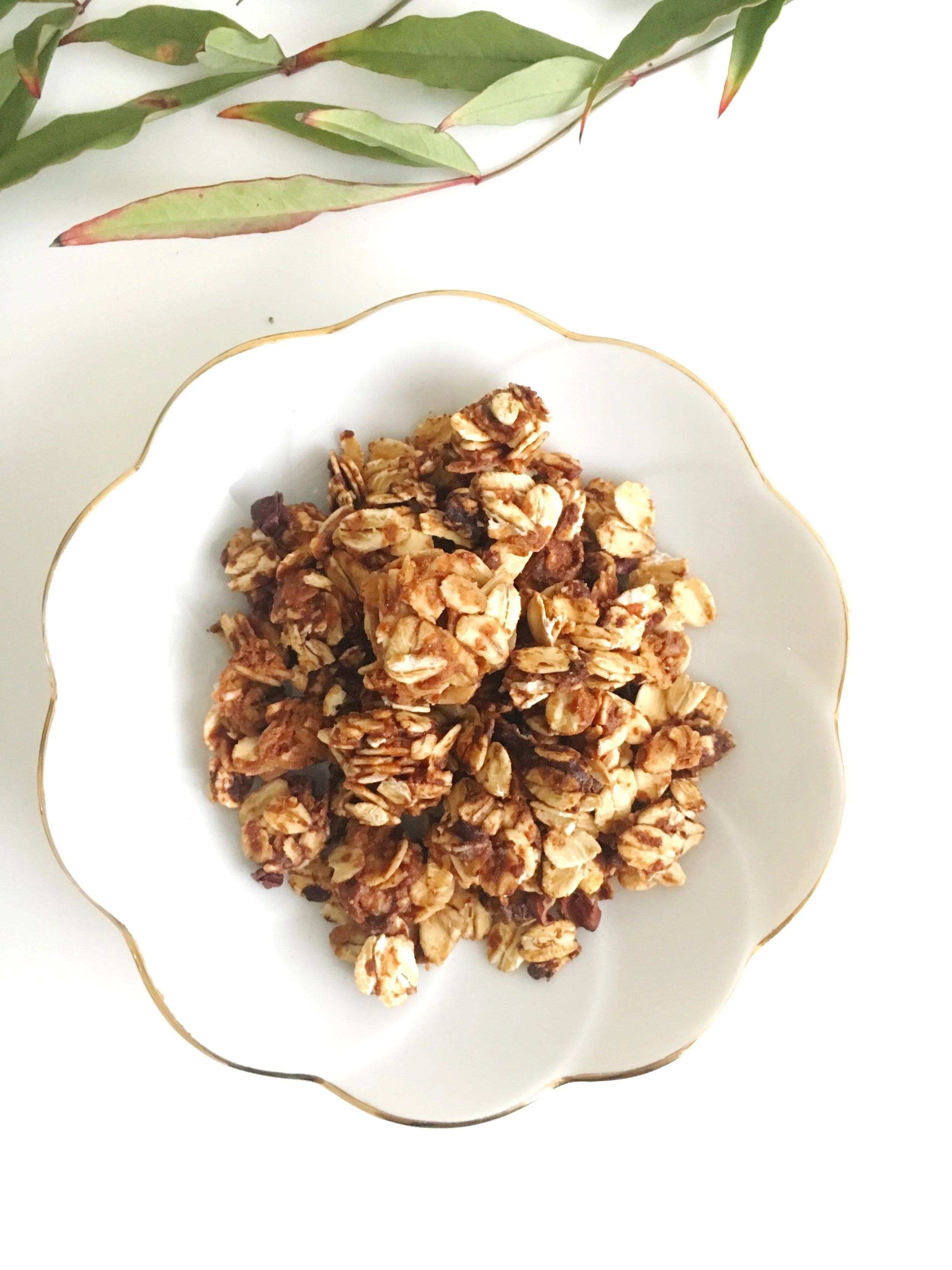 Quick & Easy Granola, a gluten free AND dairy free favorite!