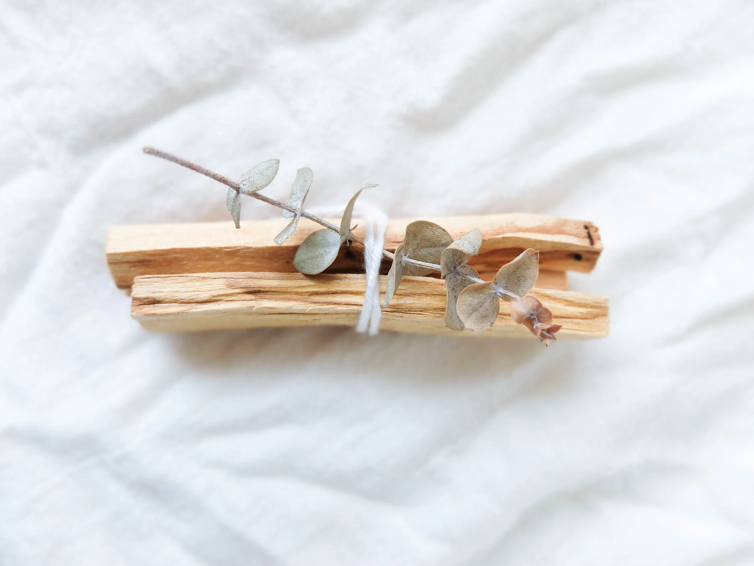 Palo Santo 