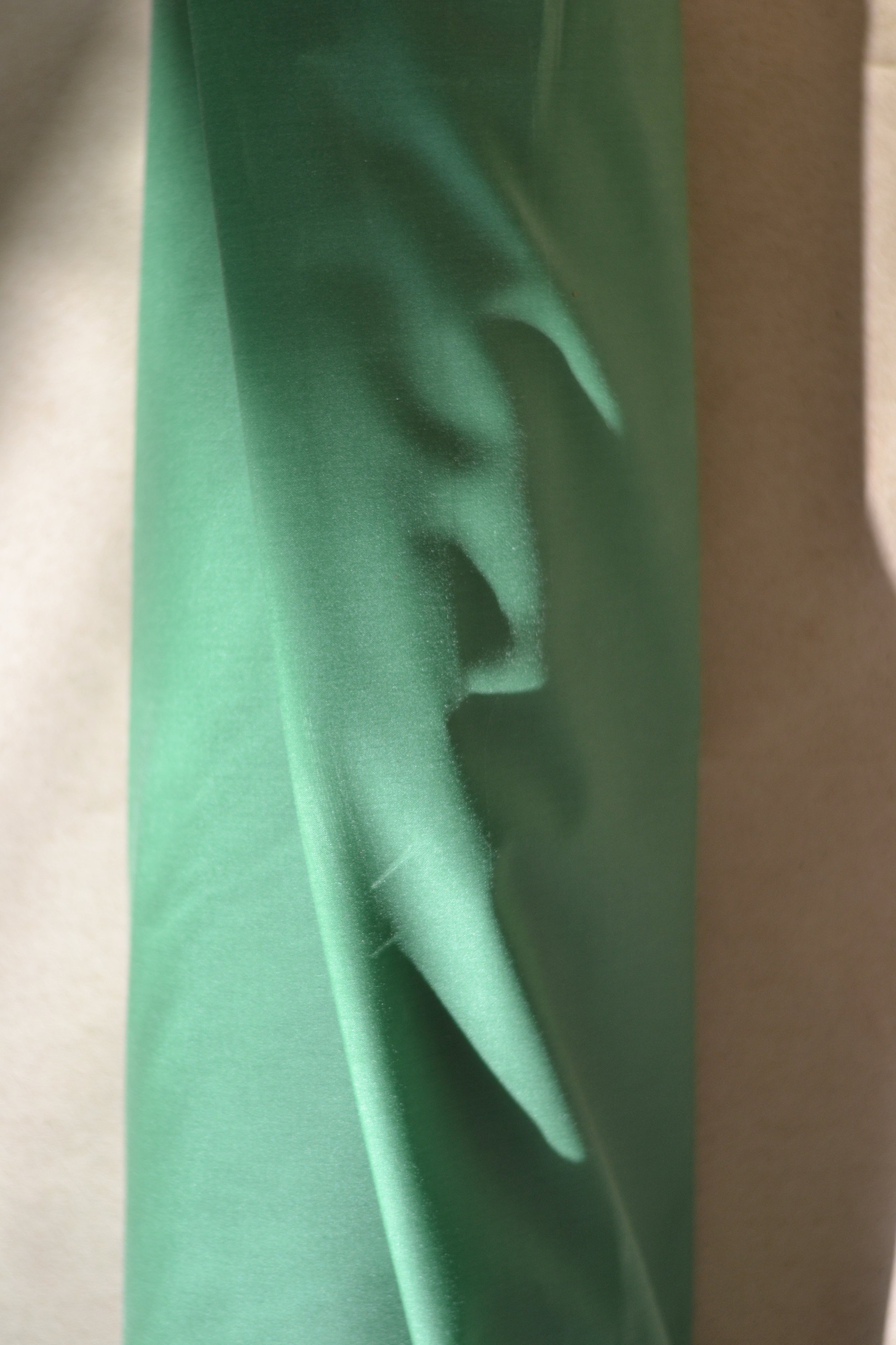 Evergreen Waxed Cotton.jpeg