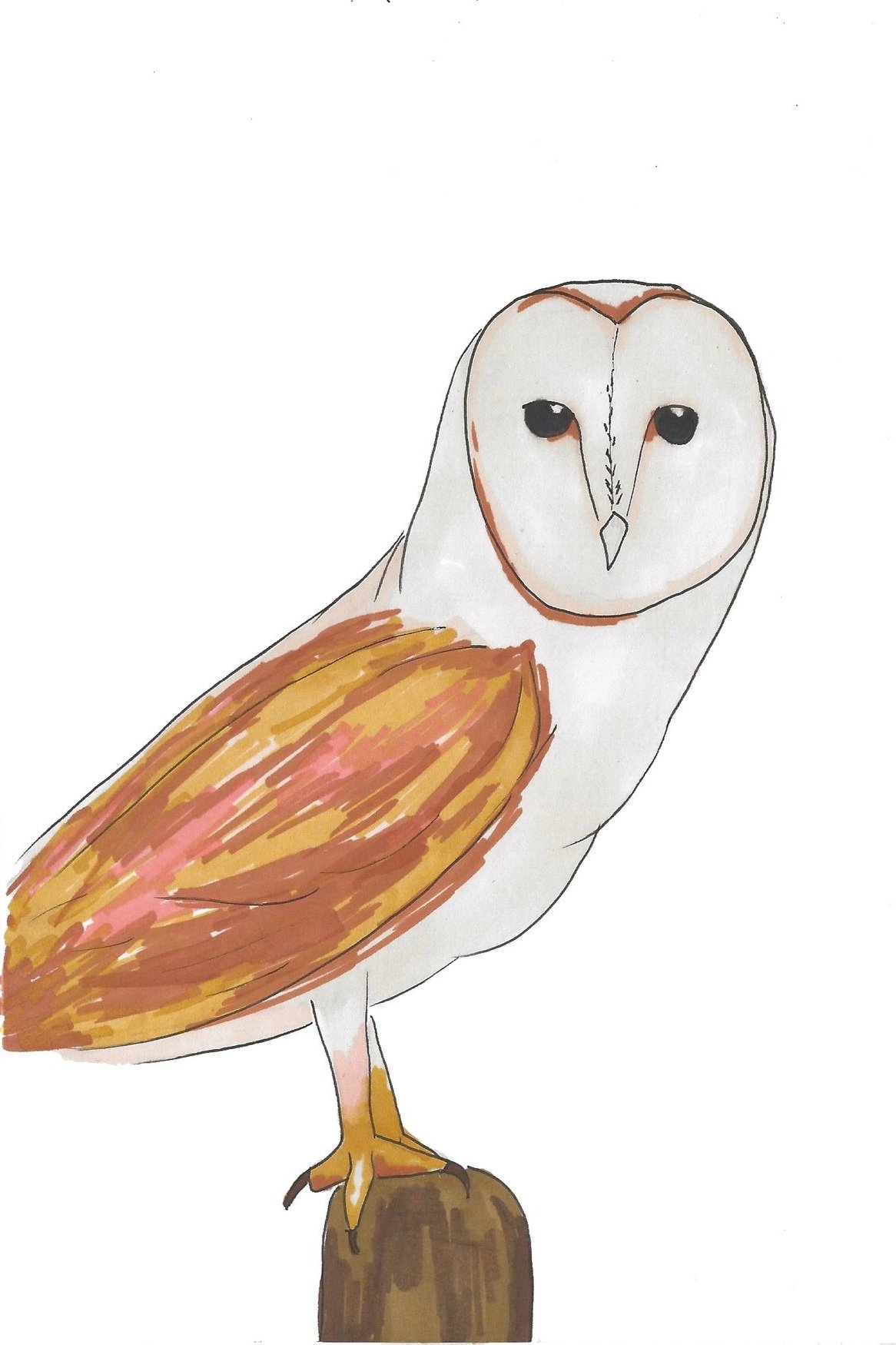 Owl+Card+edited.jpg