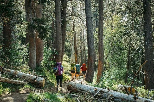 Winter haiku (in desperation): Been raining for months. 
I can&rsquo;t stand another drop.
Give me summer now.

Desolation Wilderness, CA | 📸 by @jazkohl