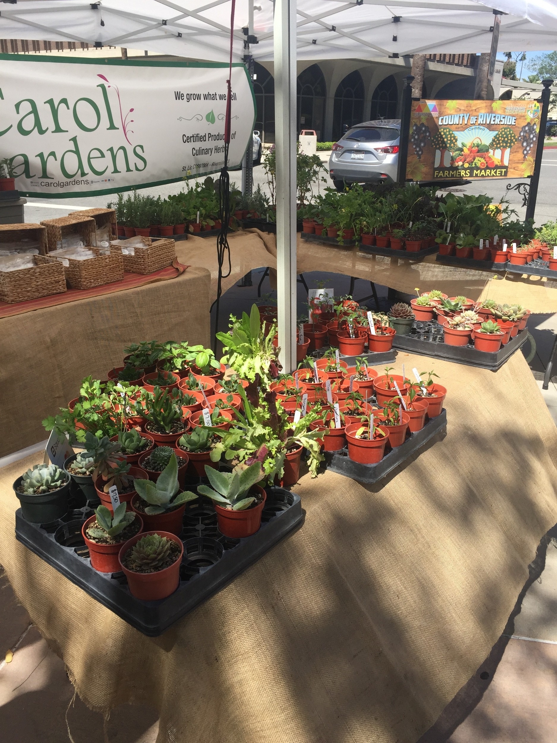 Local Farmers sell their wares at the Riverside County Farmers Market, held every Wednesday in the County Administrative Center Plaza