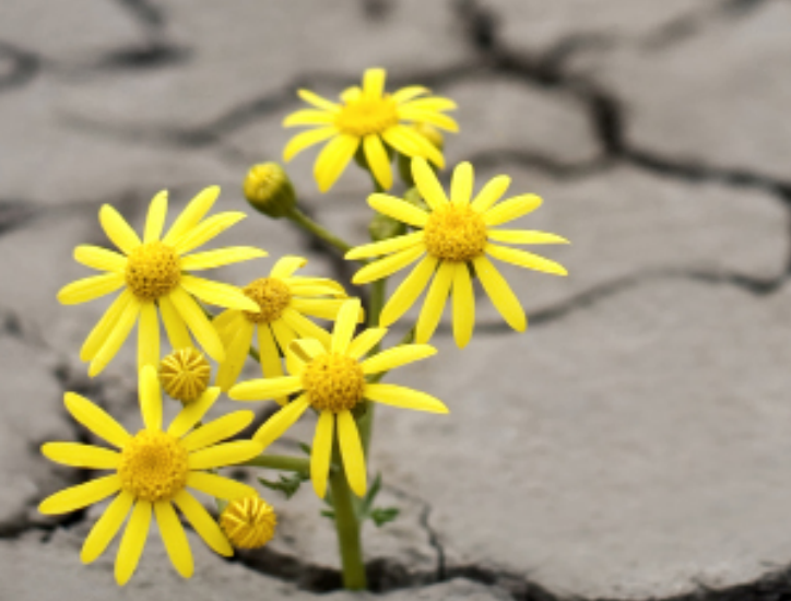 P.S. There’s Hope - Greece | 201925