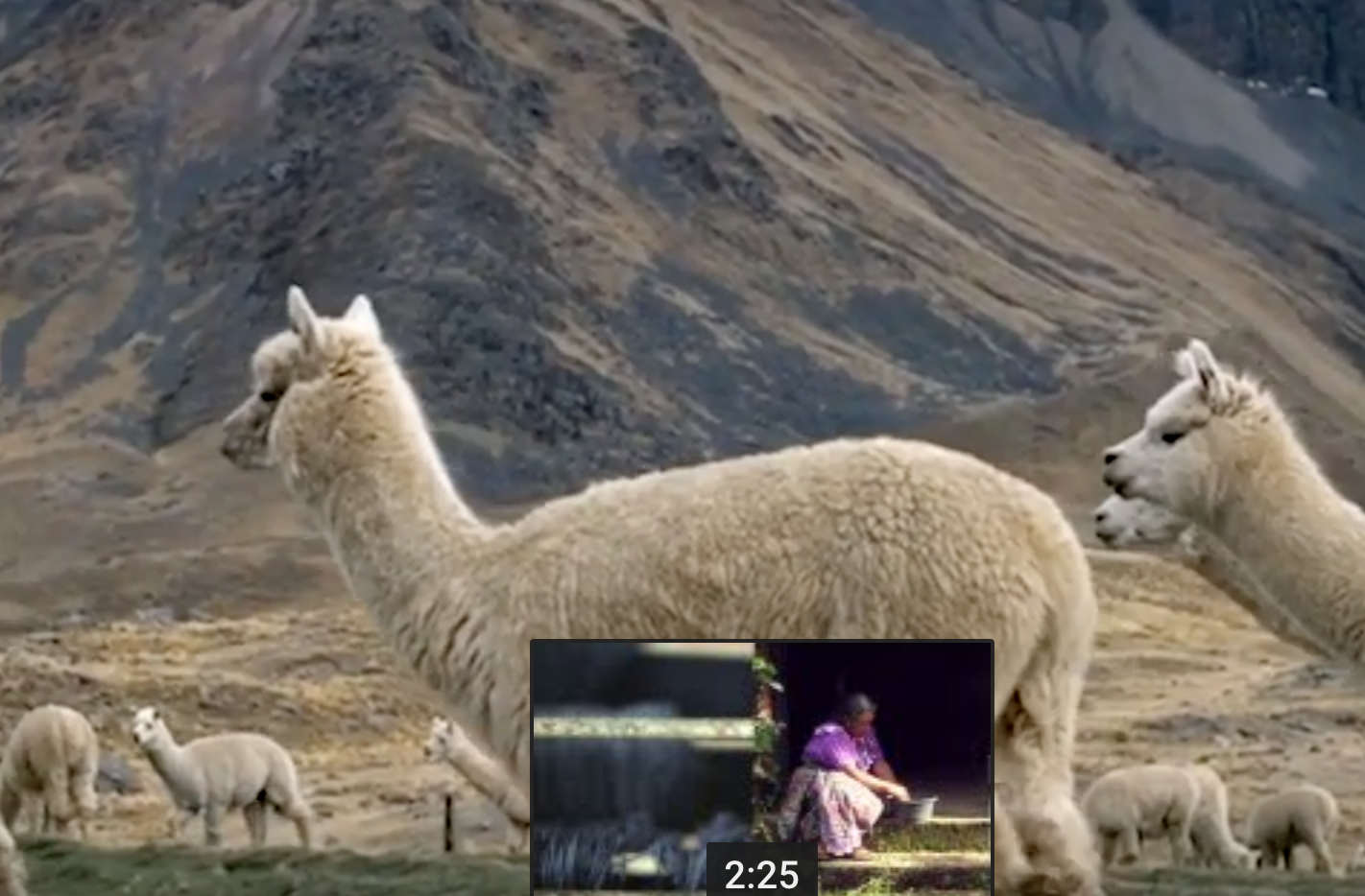 A Common Thread, Pt. 1 - Guatemala, Peru & Navajo Nation | 201901