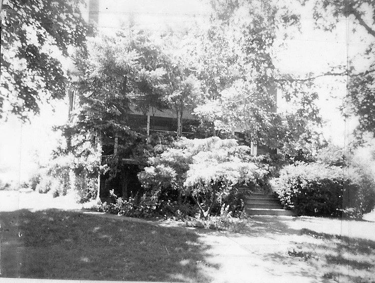 Black-and-white photo of a house mostly hidden by dense trees and shrubs, with front steps, a walkway, and a sunlit lawn in the foreground.