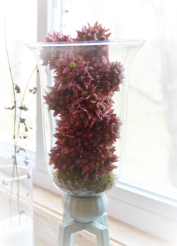 glass vase cpy.jpg