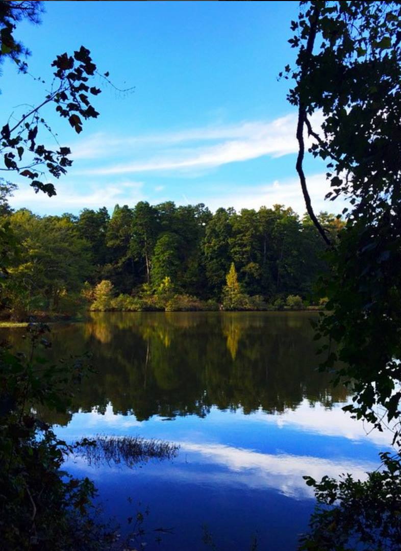 Photo: Chloe Chasanoff (Emory '18)