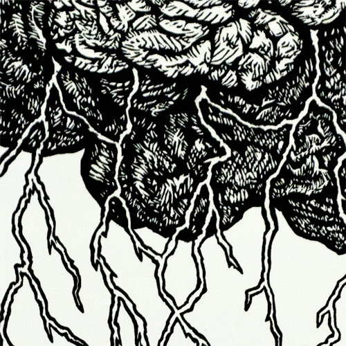 Brainstorm(DetailWeb).png