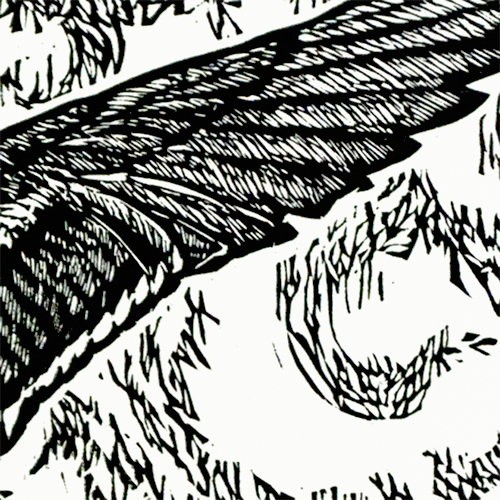 DuckHunt(Detail2Web).png