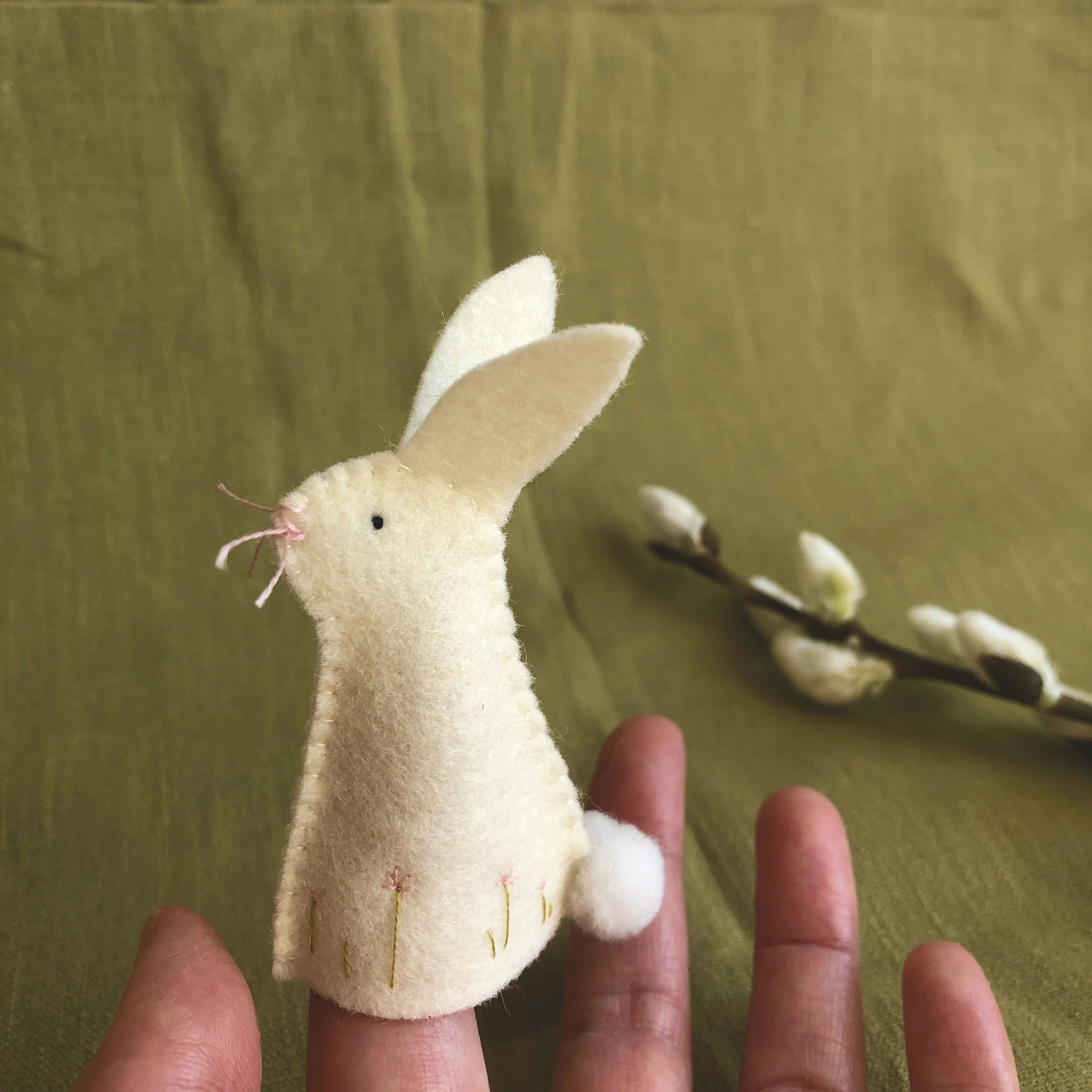bunny 7 Juno.jpg