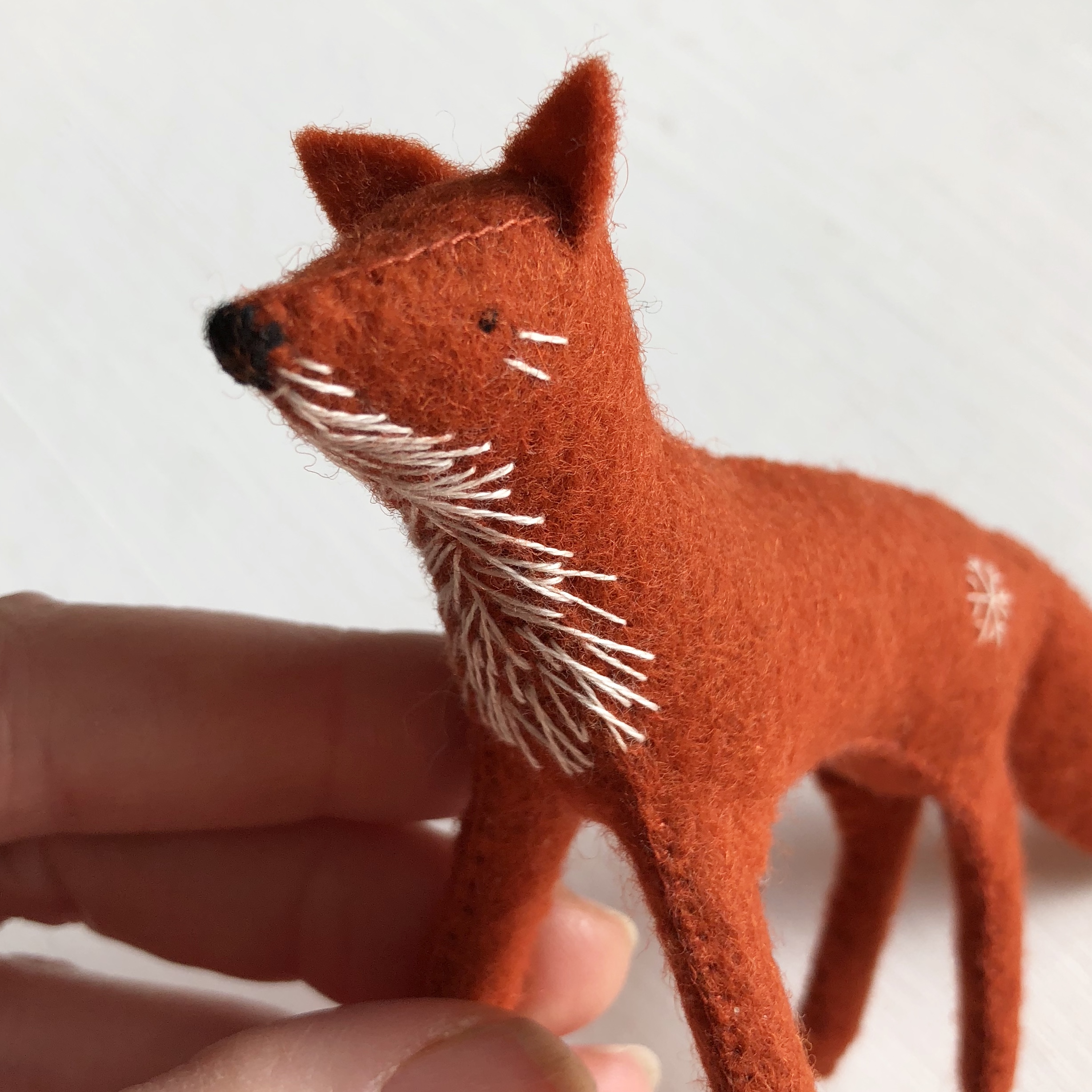 fox 22.jpg