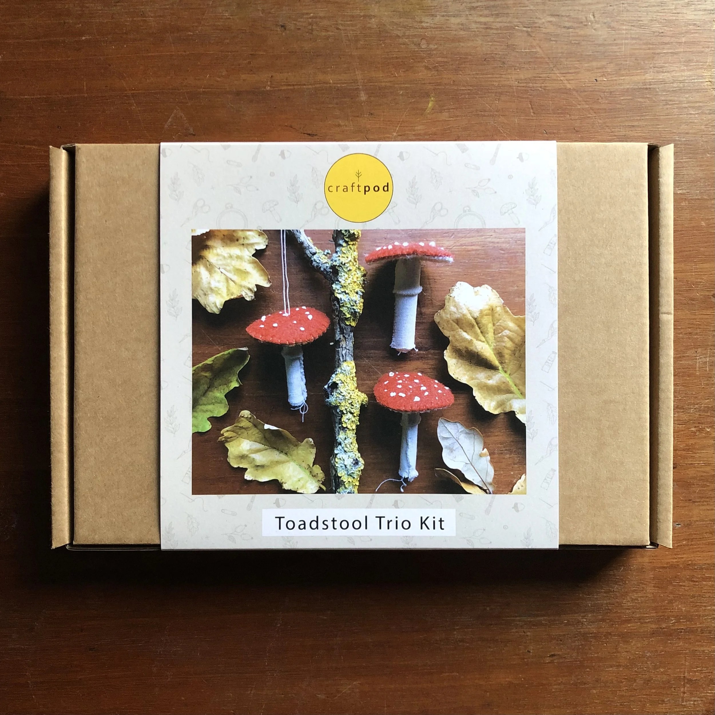 Felt Toadstool new box outside.jpg