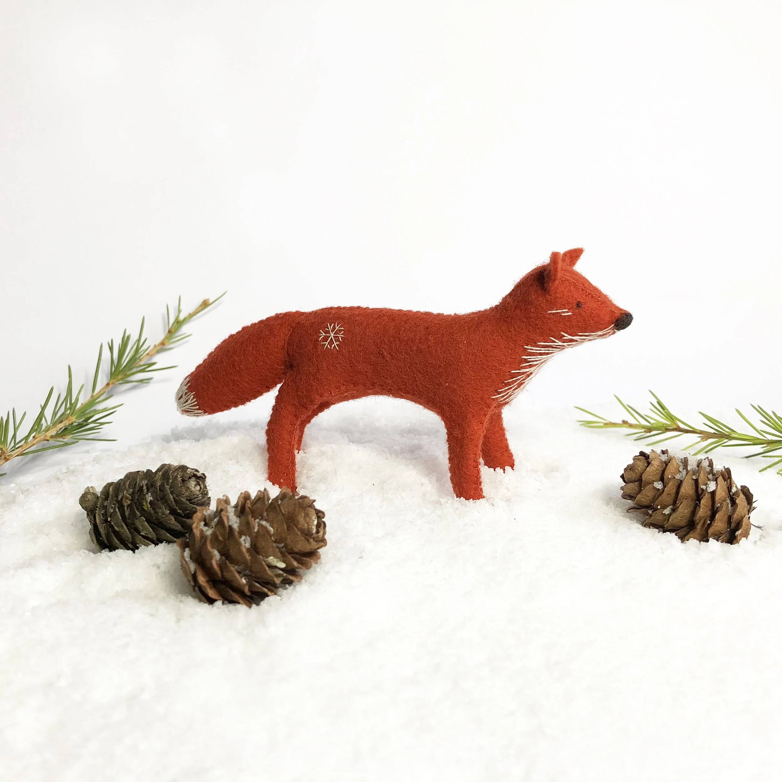 Fox and cones rgb.jpg