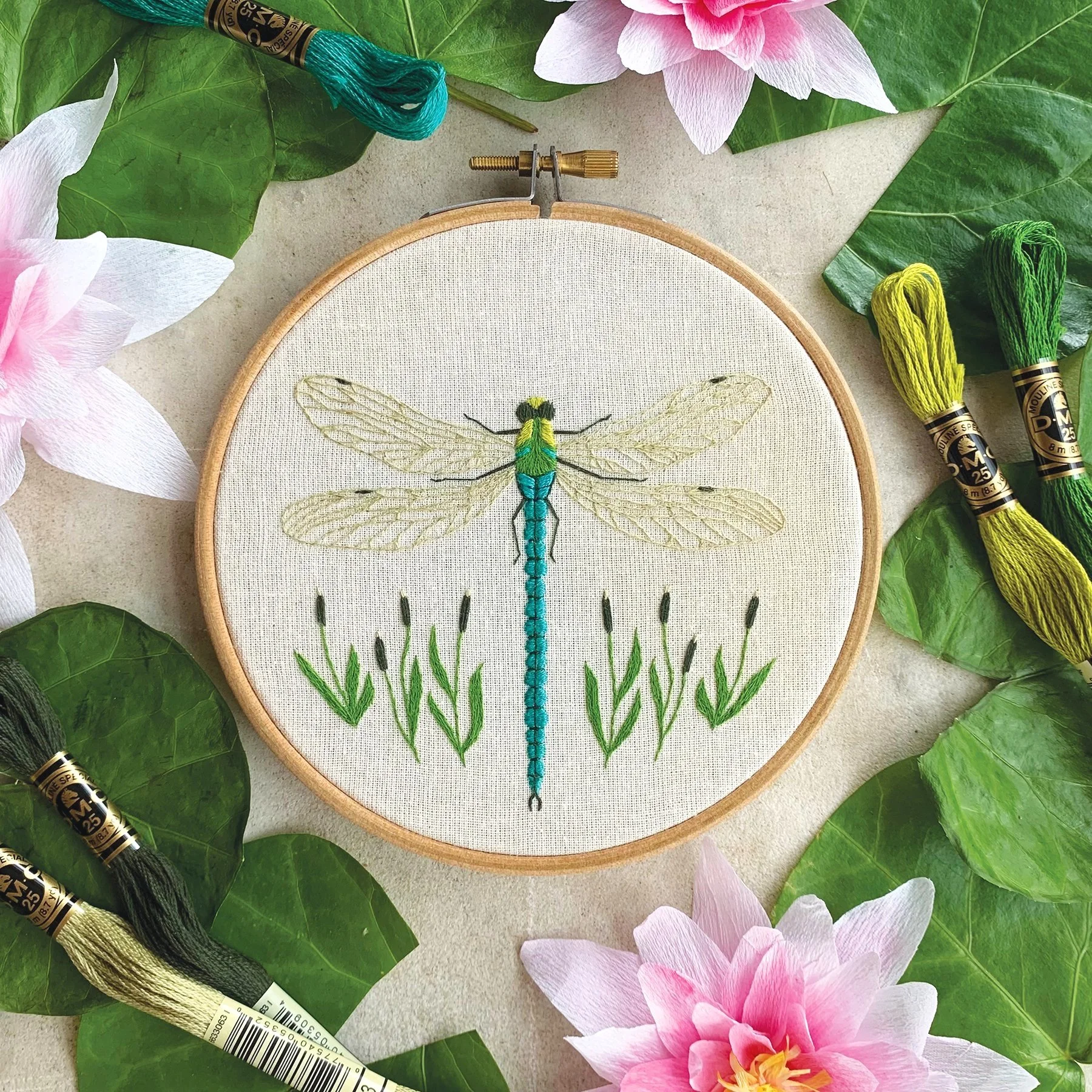 Dragonfly+rgb.jpg