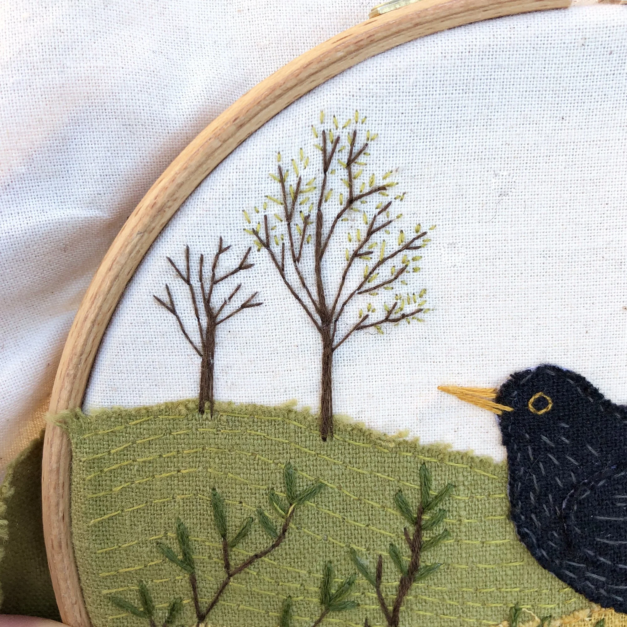 Blackbird close up.jpg
