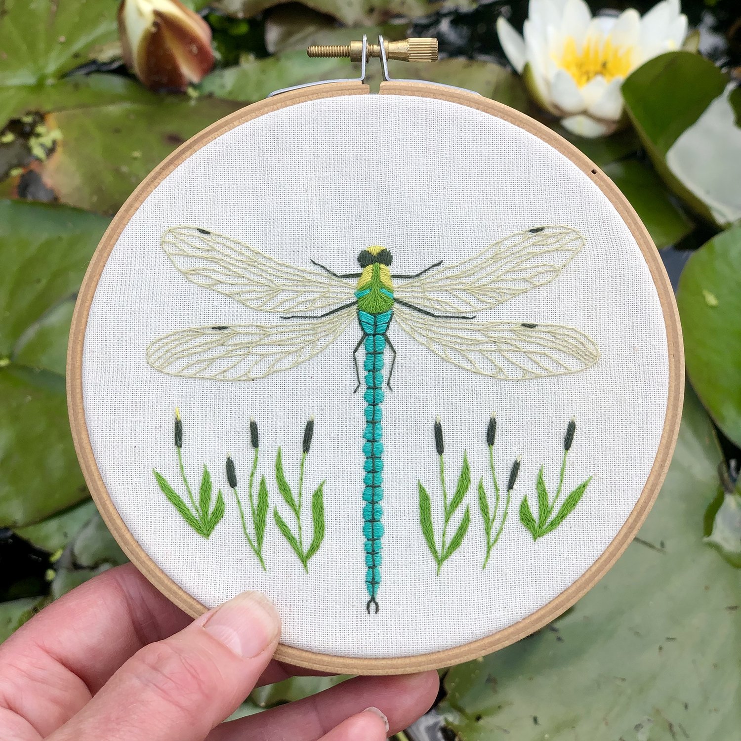 Dragonfly and lily.jpg