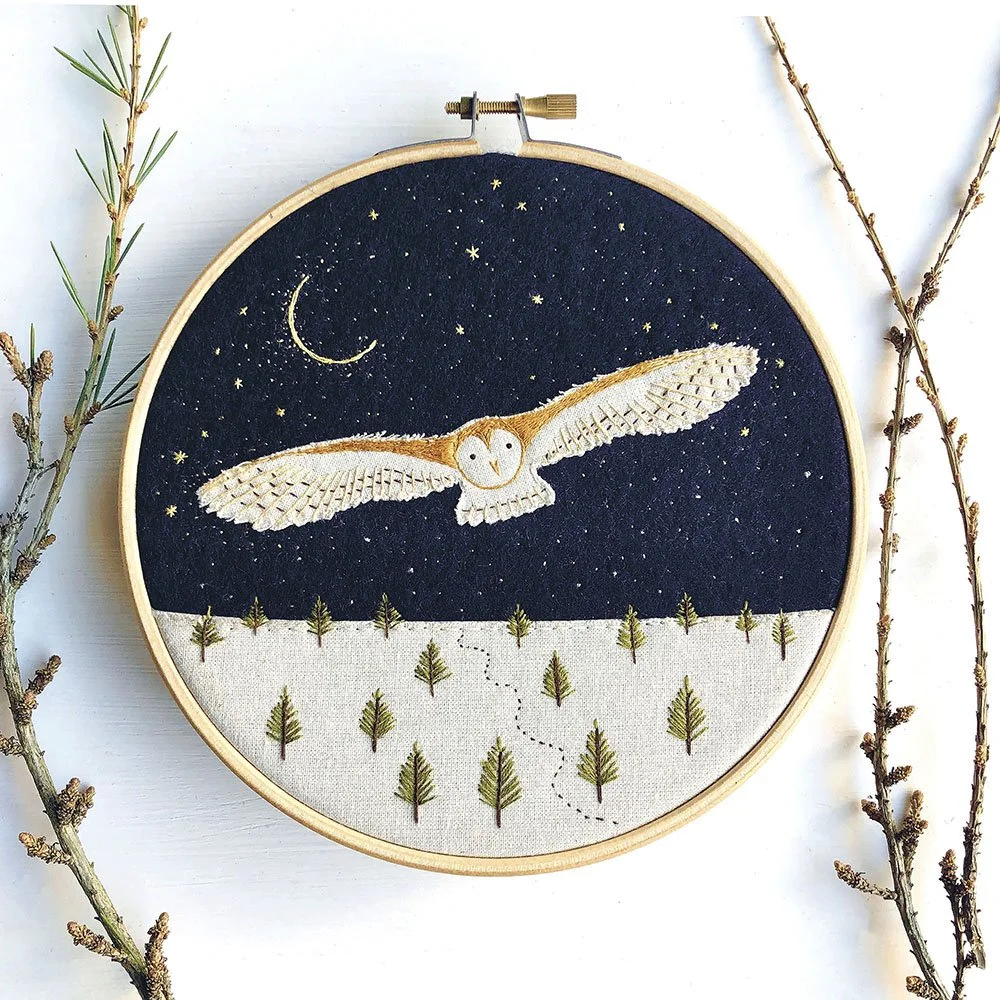Starry Night Owl CLM.jpg