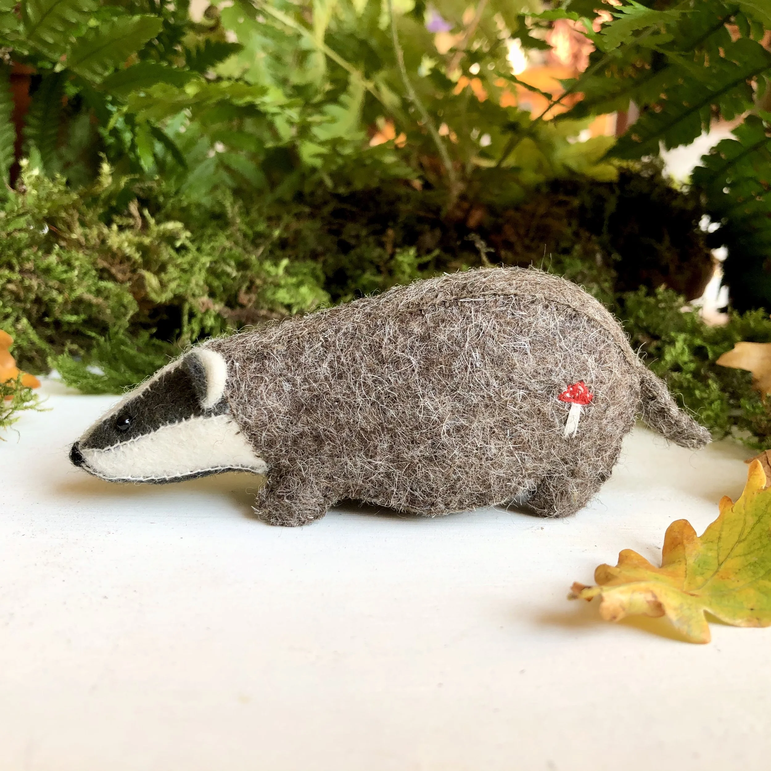 badger cover 4.jpg