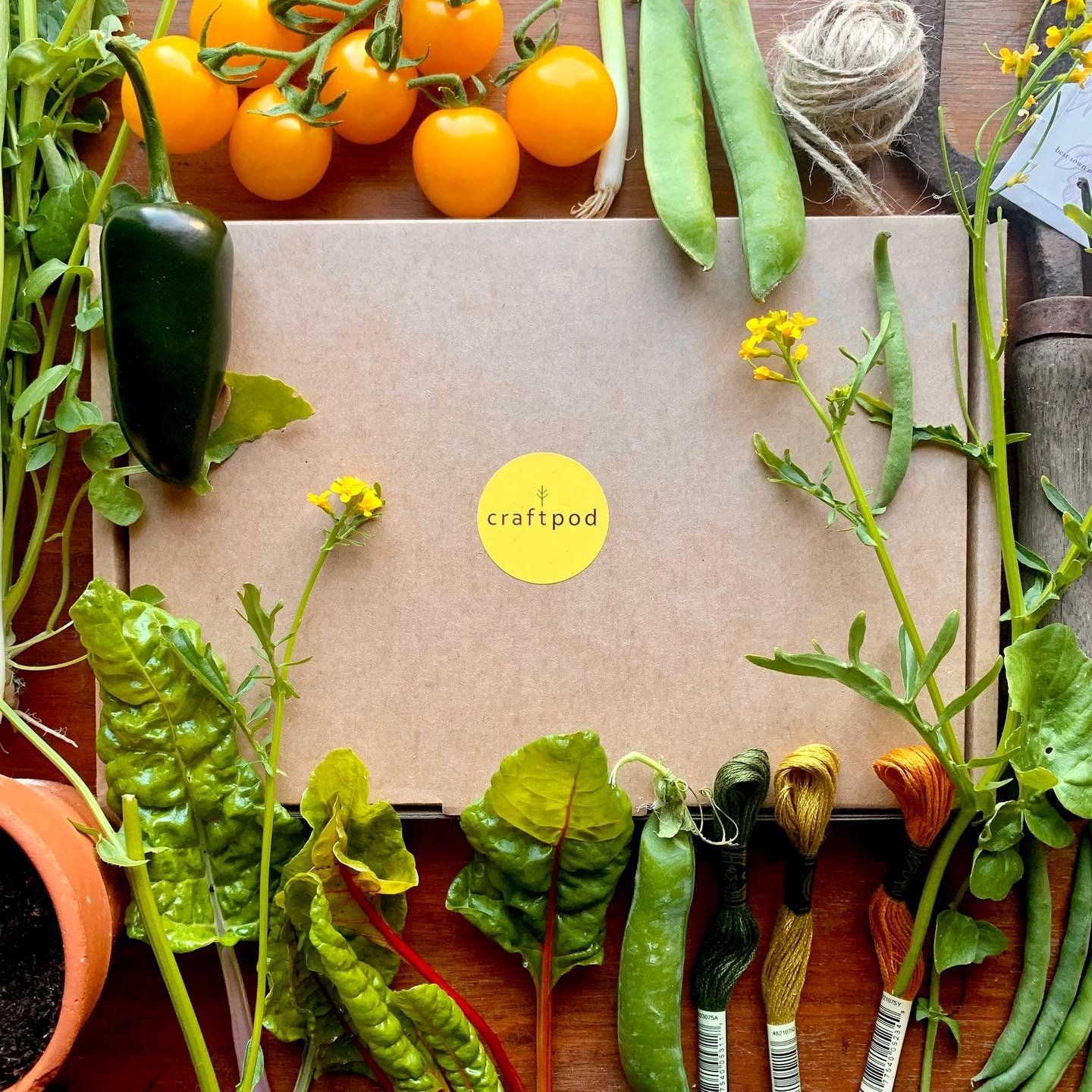 Summer 2026 Craftpod pre-orders and subscriptions are now open! 🙌🏼☀️🌿🌻 This summer we find a little botanical haven close to home. 🌿🌿🌿 A surprise for now but expect lots of gorgeous embroidery in a 6 inch hoop. Head to the website to pre-order