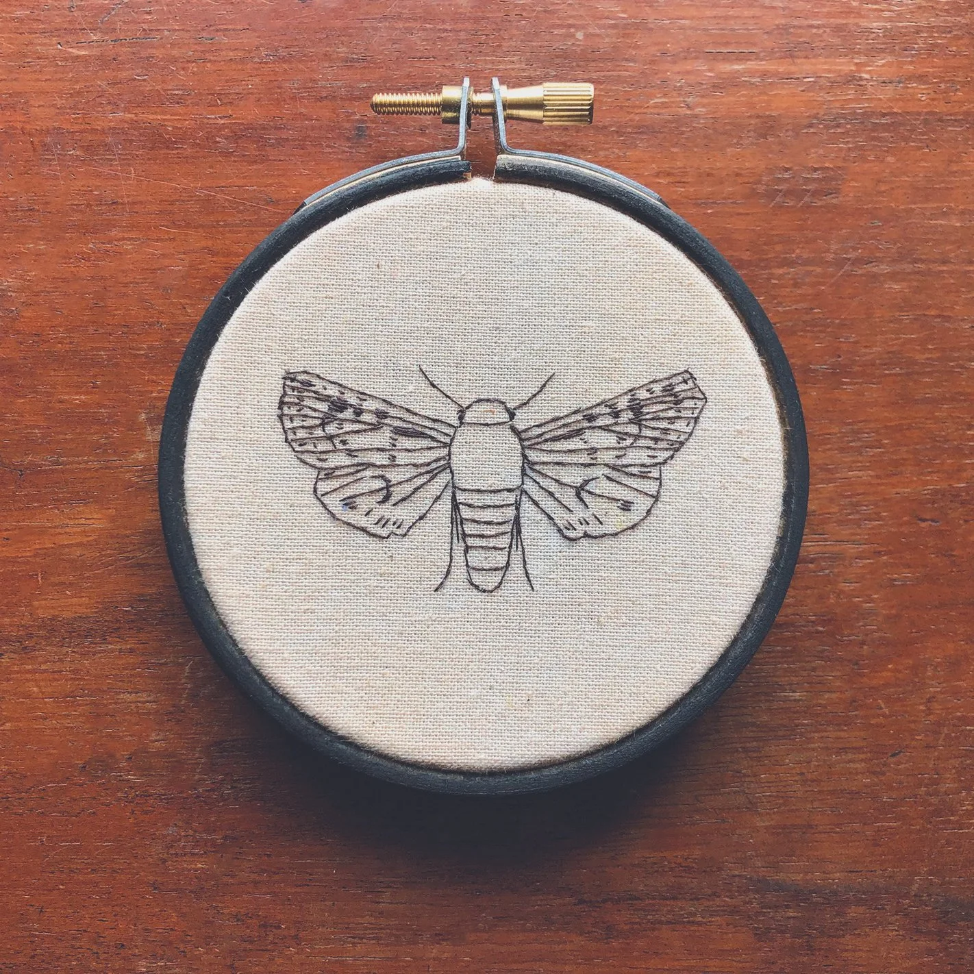 Moth in black hoop 2.jpg