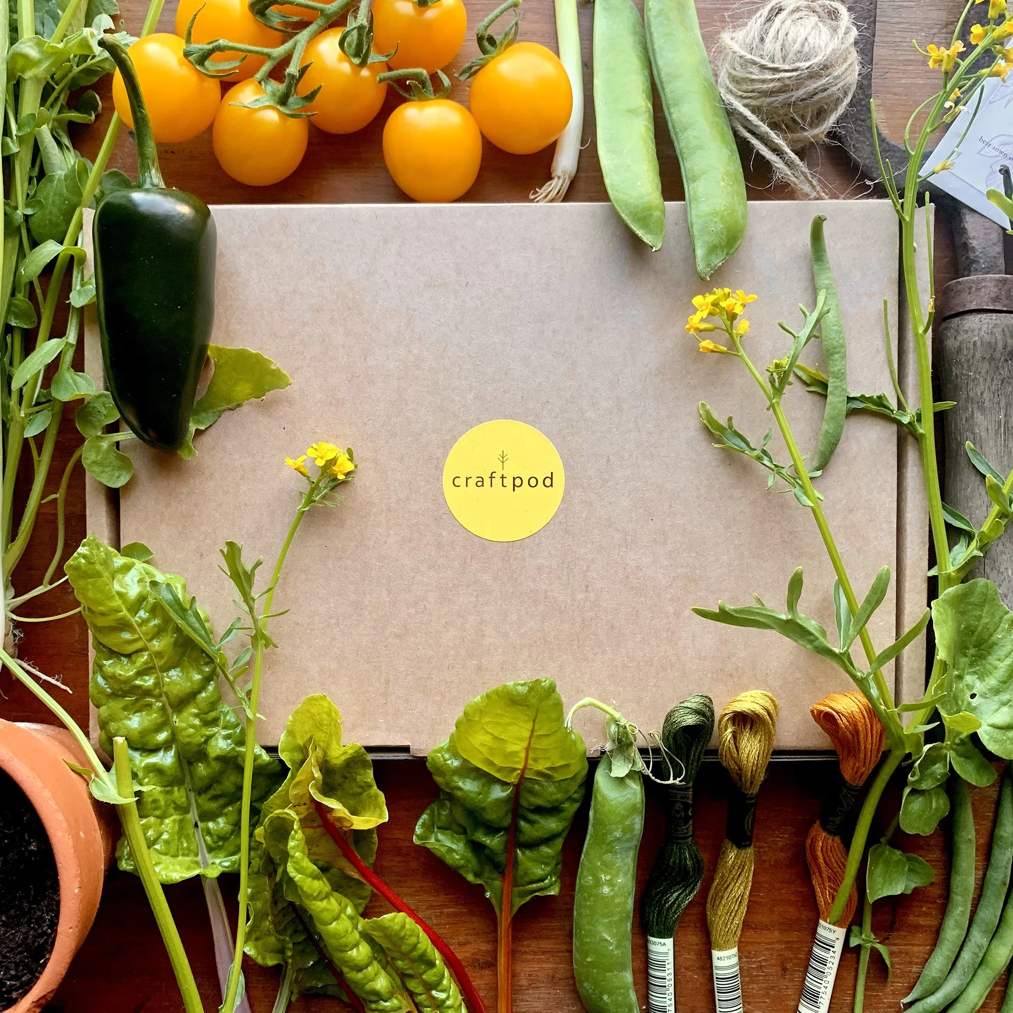 Summer 2026 Craftpod.jpg