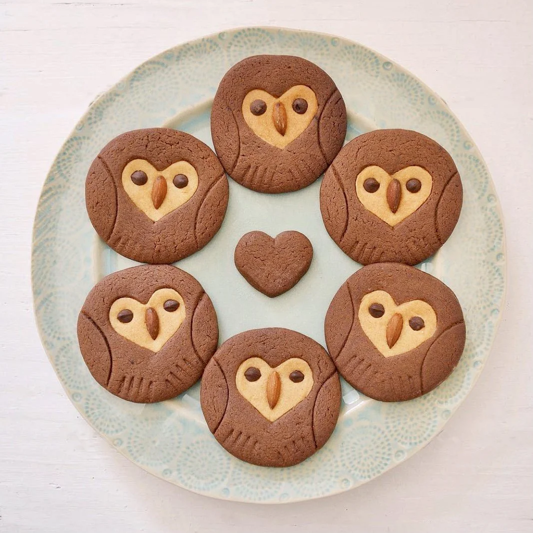 Owl Cookies.jpg
