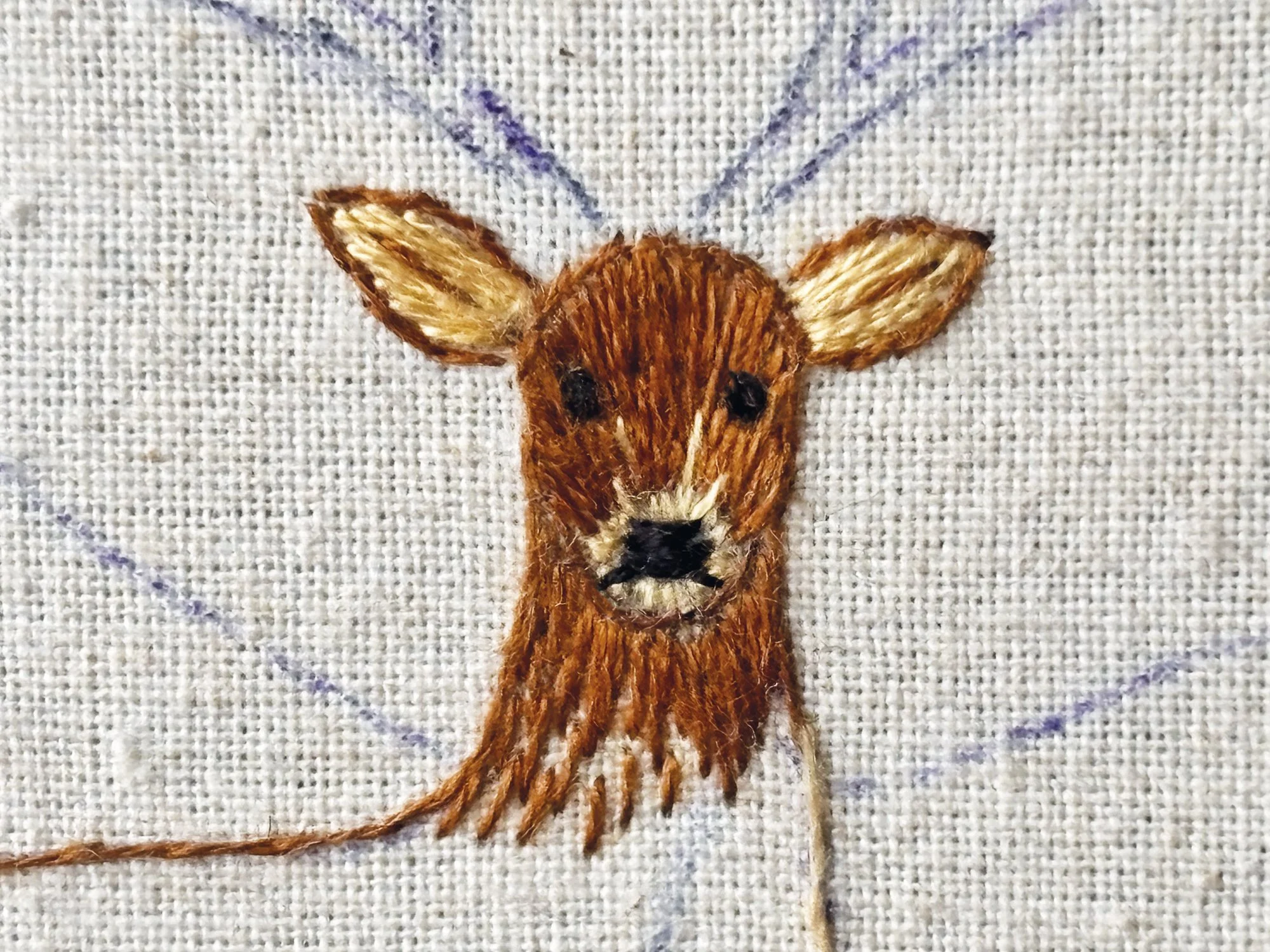 Deer 15 rgb.jpg