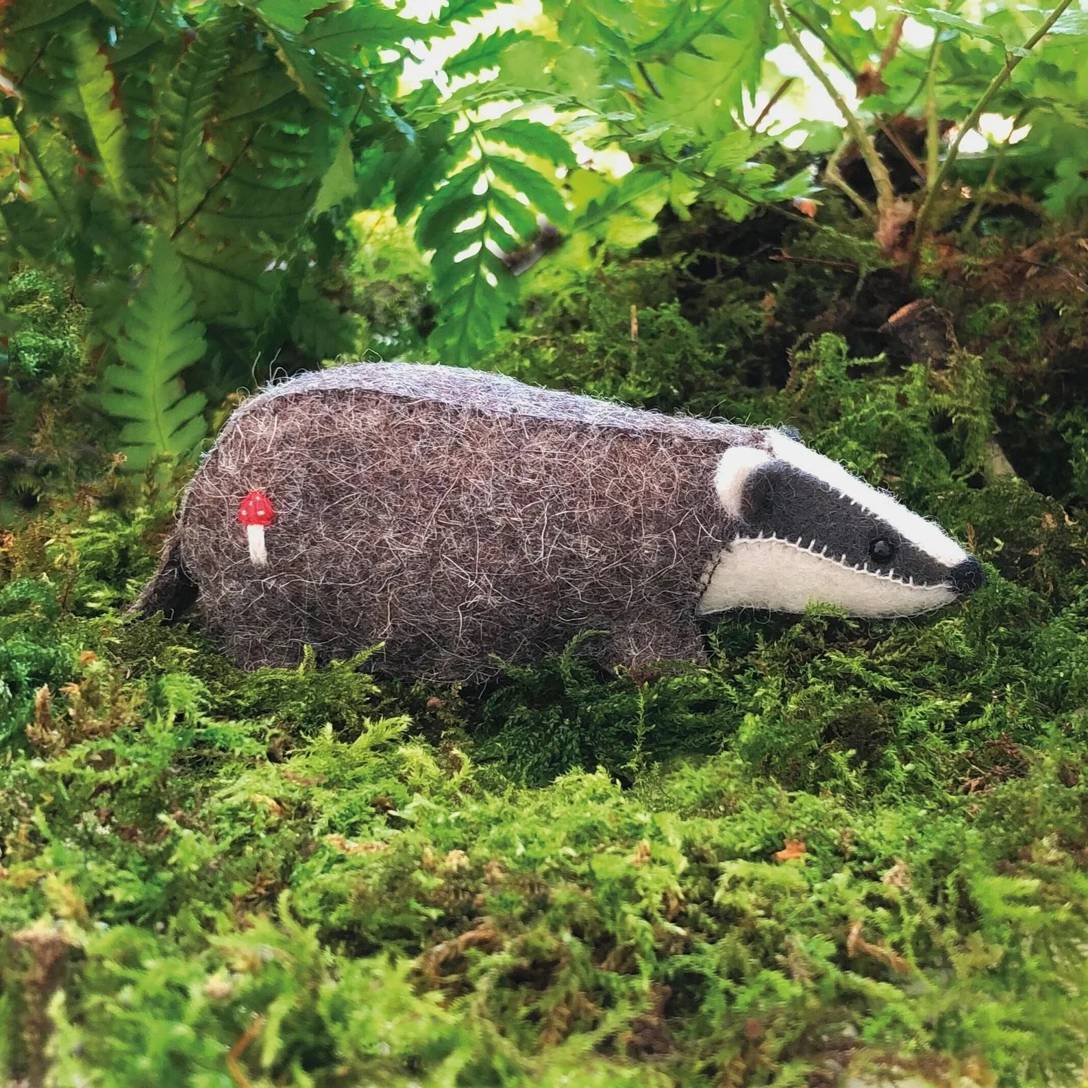 Badger.jpg